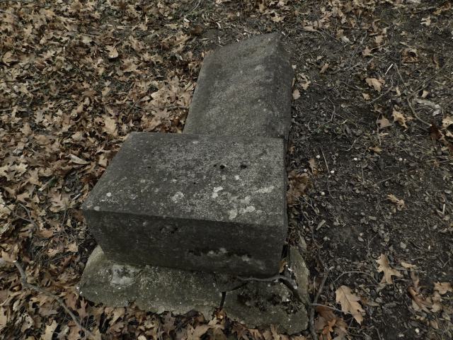 April 7 2025 - large stone.JPG