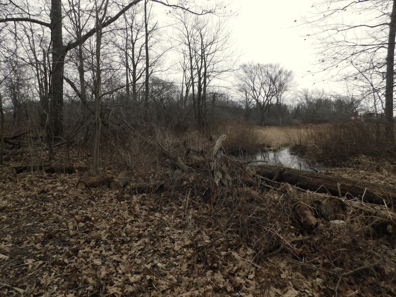 April 7 2025 - lookingtoback.JPG