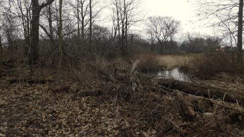 April 7 2025 - lookingtoback.JPG