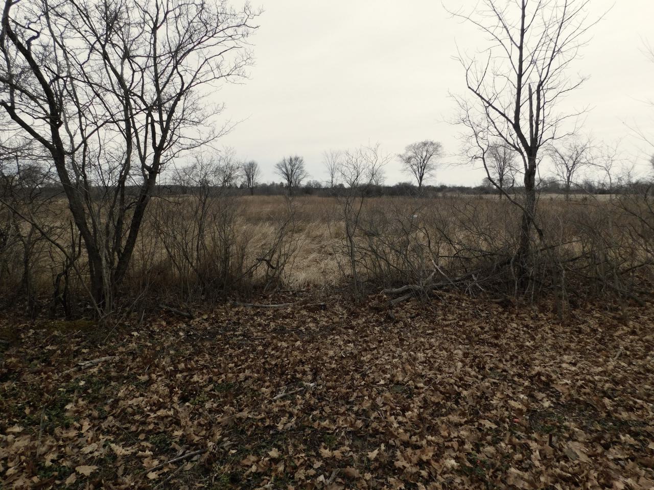 April 7 2025 - lookingtoback2.JPG