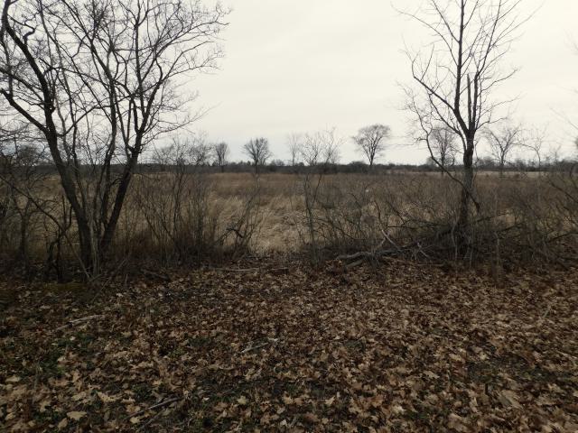 April 7 2025 - lookingtoback2.JPG