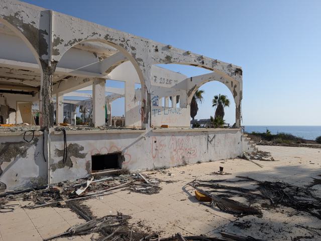 November 2025 - PXL_20251123_113545322.jpg