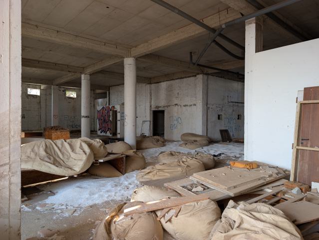 November 2025 - PXL_20251123_115109191.jpg