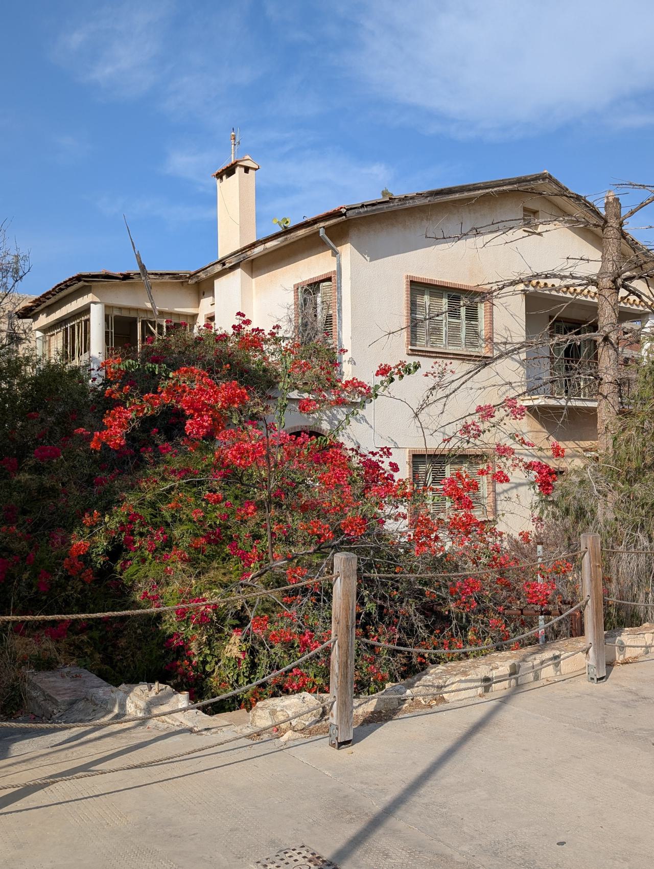 November 2025 - PXL_20251124_105951492.jpg