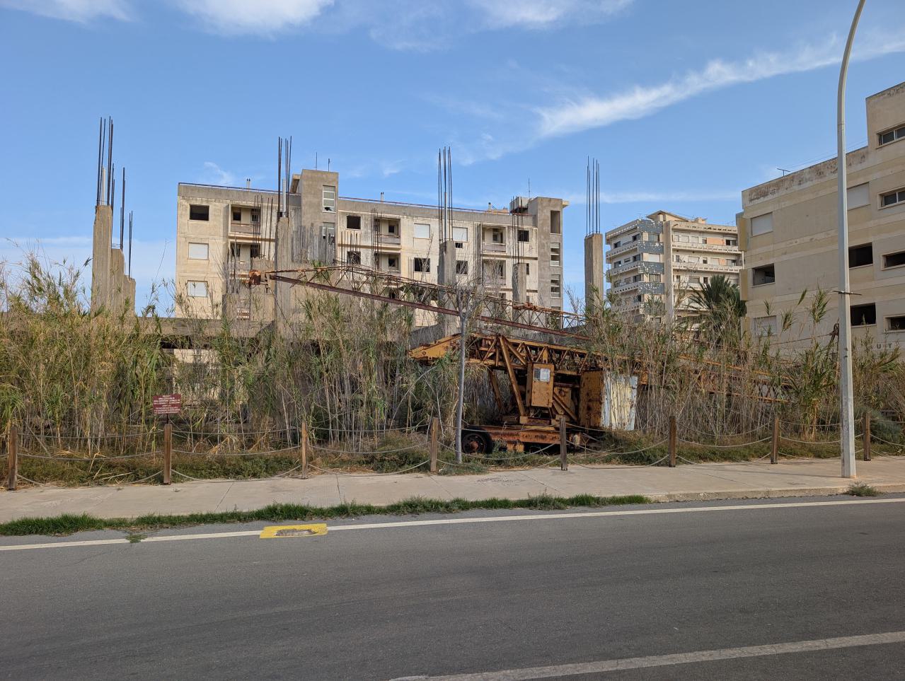 November 2025 - PXL_20251124_104646160.jpg