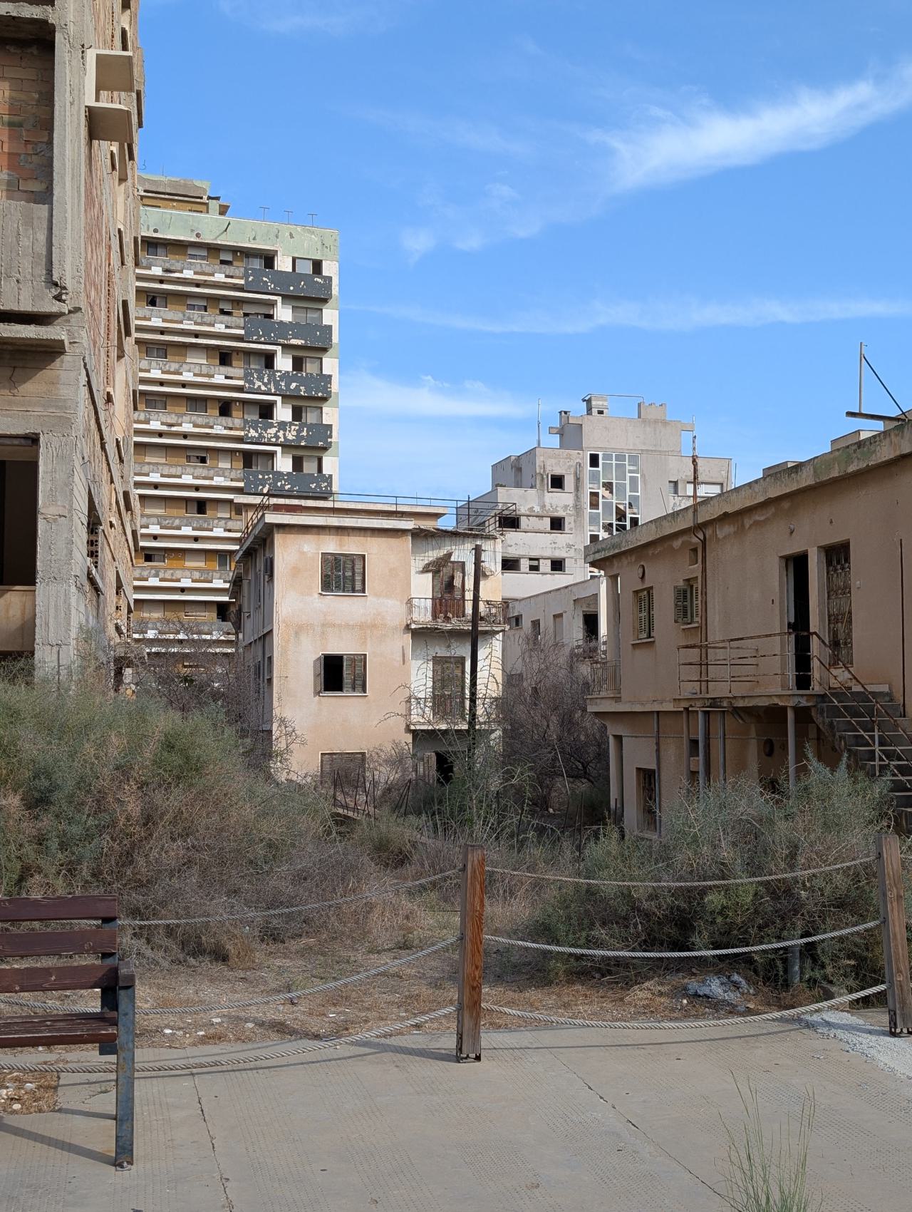 November 2025 - PXL_20251124_104807652.jpg