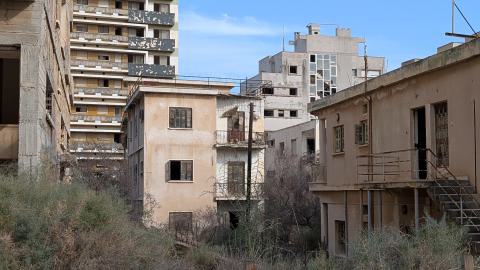 November 2025 - PXL_20251124_104807652.jpg