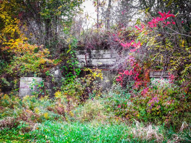 The (Real) St. David's Tunnel - IMG_6657-2.jpg