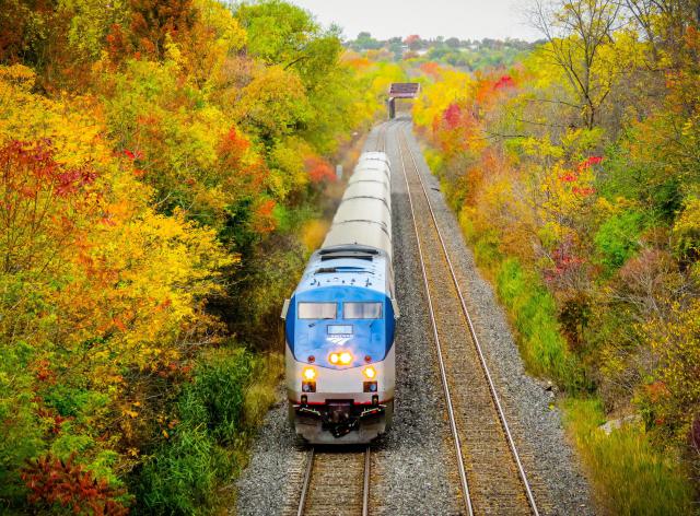 The (Real) St. David's Tunnel - IMG_6733-2.jpg