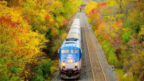The (Real) St. David's Tunnel photo 4