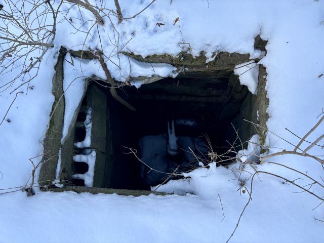 December 14, 2025 - IMG_1460.jpg