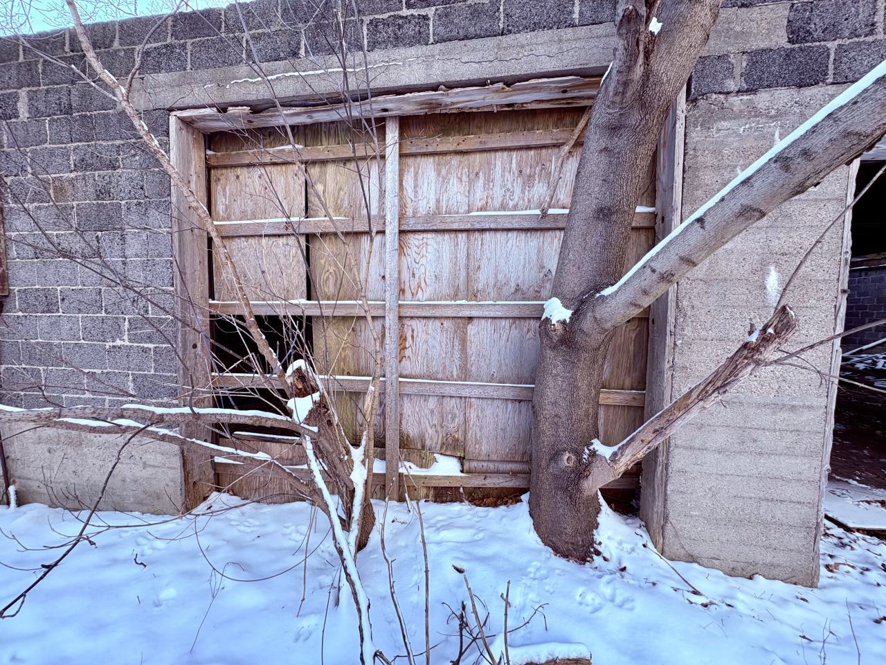 December 14, 2025 - IMG_1462.jpg