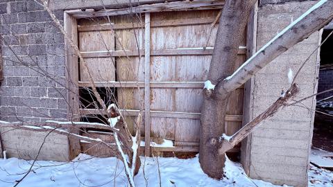 December 14, 2025 - IMG_1462.jpg