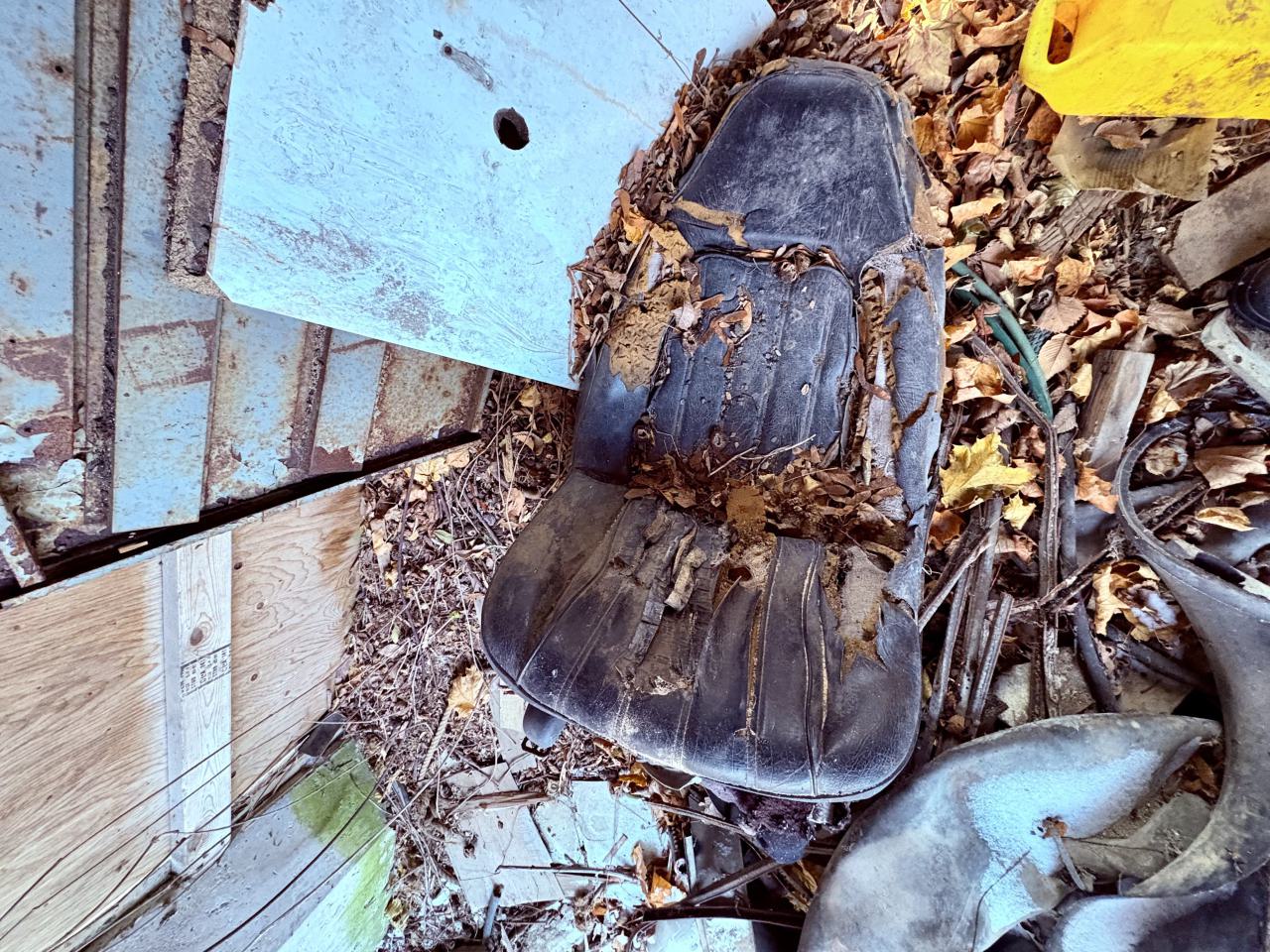 December 14, 2025 - IMG_1466.jpg