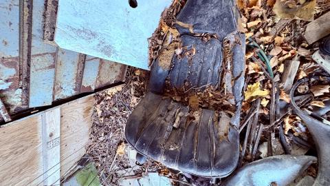 December 14, 2025 - IMG_1466.jpg