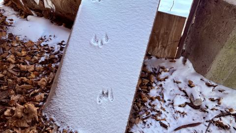 December 14, 2025 - IMG_1495.jpg