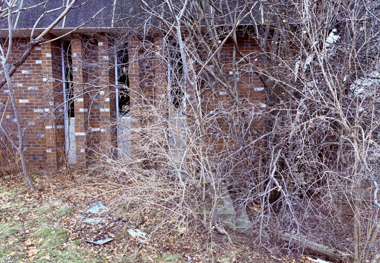 December 20, 2025 - IMG_1949.jpg