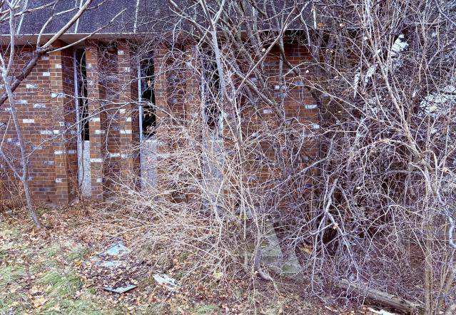 December 20, 2025 - IMG_1949.jpg