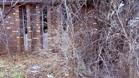 December 20, 2025 - IMG_1949.jpg