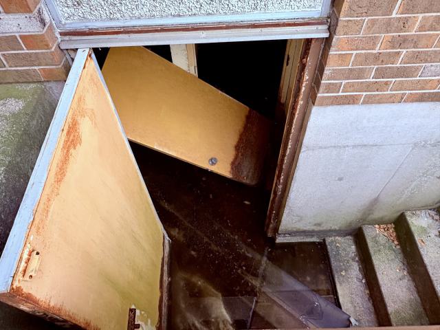 December 20, 2025 - IMG_1958.jpg