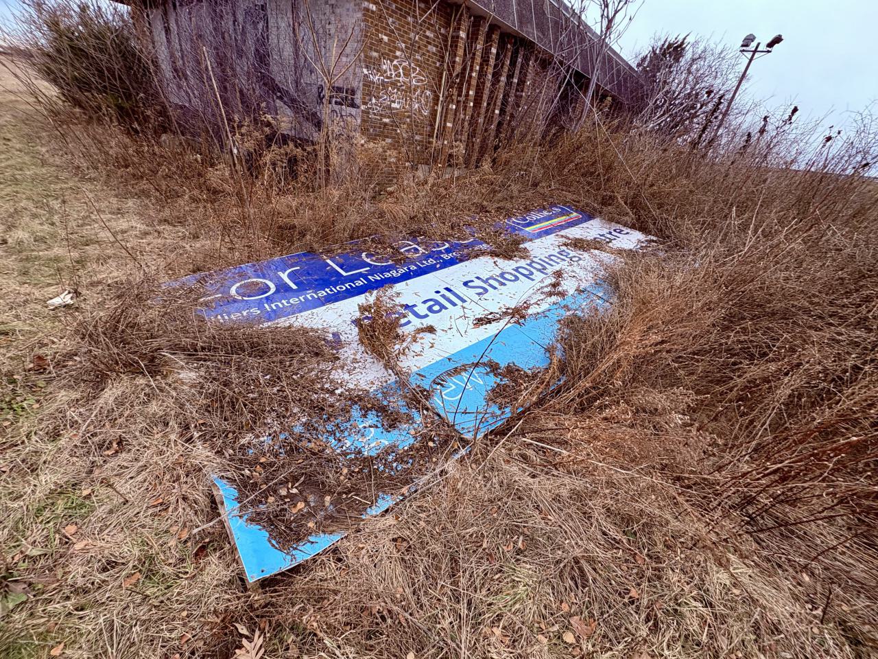 December 20, 2025 - IMG_1967.jpg