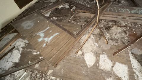 December 20, 2025 - IMG_1984.jpg