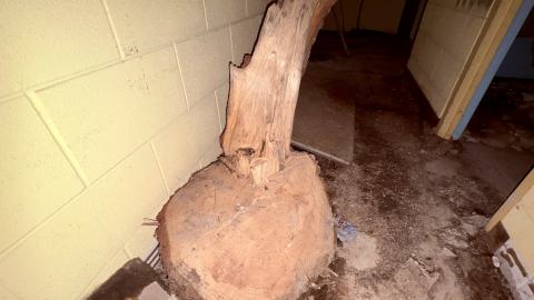 December 20, 2025 - IMG_1992.jpg