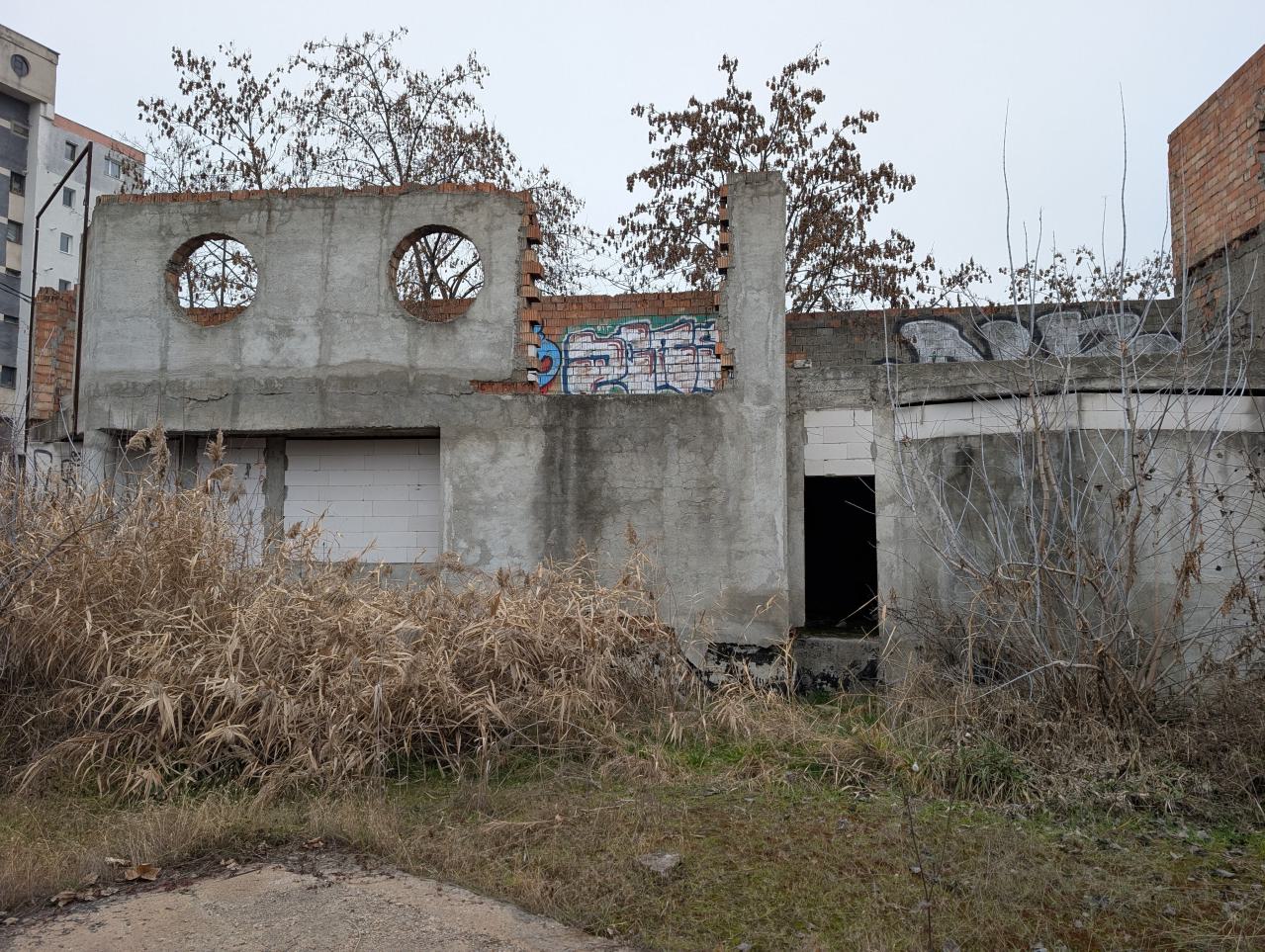 December 2025 - 17845.jpg