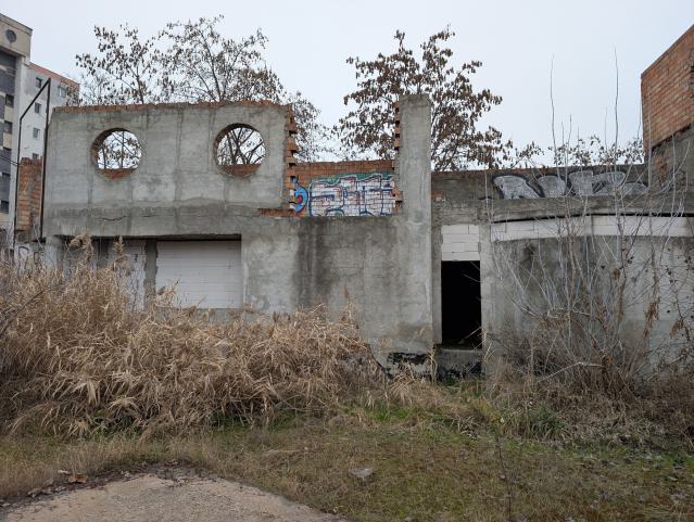 December 2025 - 17845.jpg