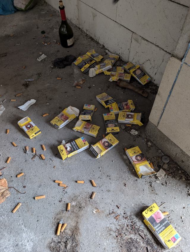 December 2025 - PXL_20251222_105616523.jpg