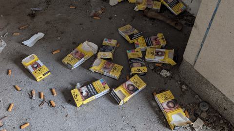 December 2025 - PXL_20251222_105616523.jpg