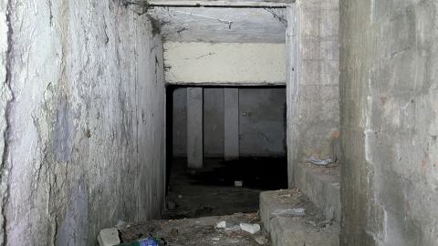 December 2025 - PXL_20251222_105505031.jpg