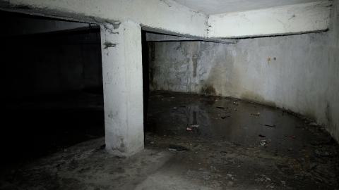 December 2025 - PXL_20251222_105408230.jpg