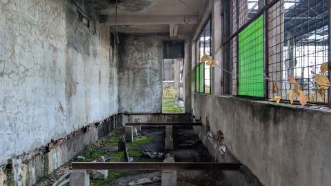 November 2025 - PXL_20251111_135134225.jpg