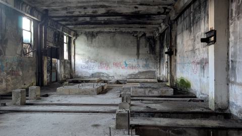 November 2025 - PXL_20251111_134934662.jpg