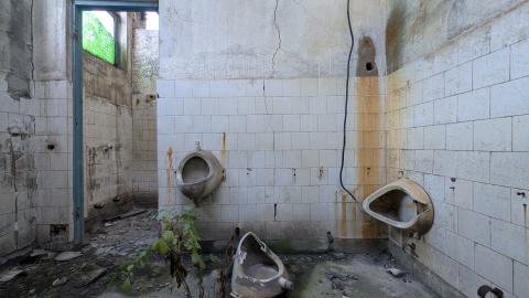 November 2025 - PXL_20251111_134804754.jpg