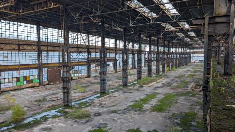 November 2025 - PXL_20251111_133430249.jpg