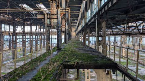 November 2025 - PXL_20251111_133123710.jpg