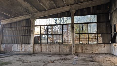 November 2025 - PXL_20251111_132643240.jpg