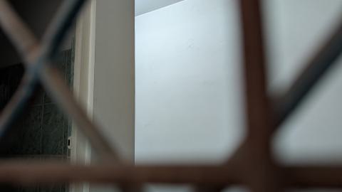 November 2025 - PXL_20251111_130955427.jpg