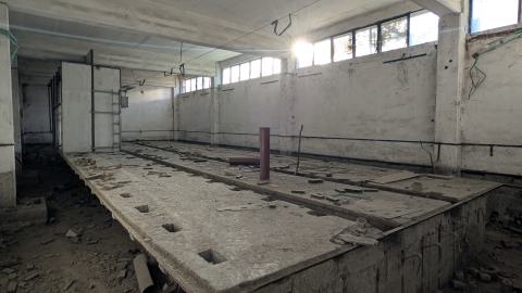 November 2025 - PXL_20251111_130756960.jpg