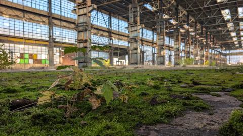 November 2025 - PXL_20251111_130633524.jpg