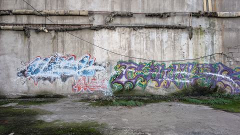 November 2025 - PXL_20251111_130646734.jpg