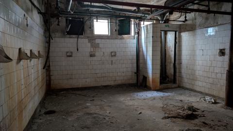 November 2025 - PXL_20251116_132445486.jpg