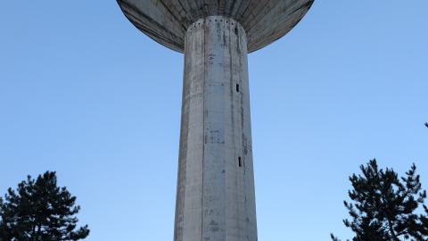 November 2025 - PXL_20251111_140130404.jpg