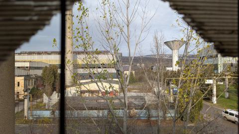 November 2025 - PXL_20251117_100611367.jpg