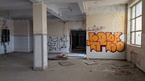 November 2025 - PXL_20251117_100404347.jpg