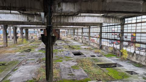 November 2025 - PXL_20251117_095557895.jpg