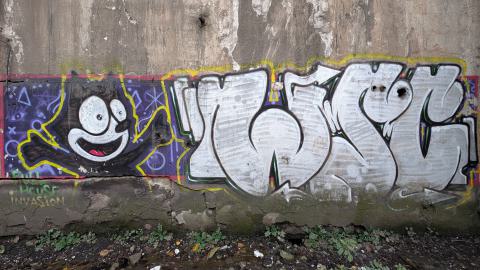 November 2025 - PXL_20251117_094702476.jpg