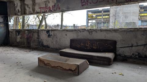 November 2025 - PXL_20251117_094208264.jpg